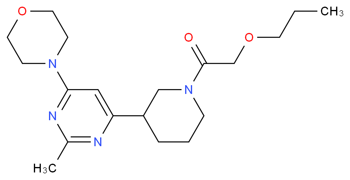  分子结构