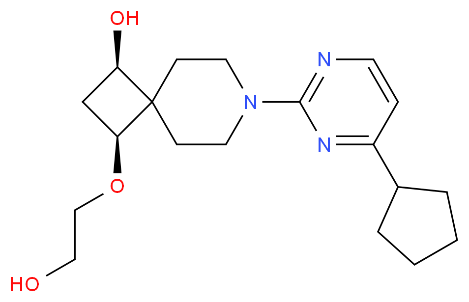  分子结构
