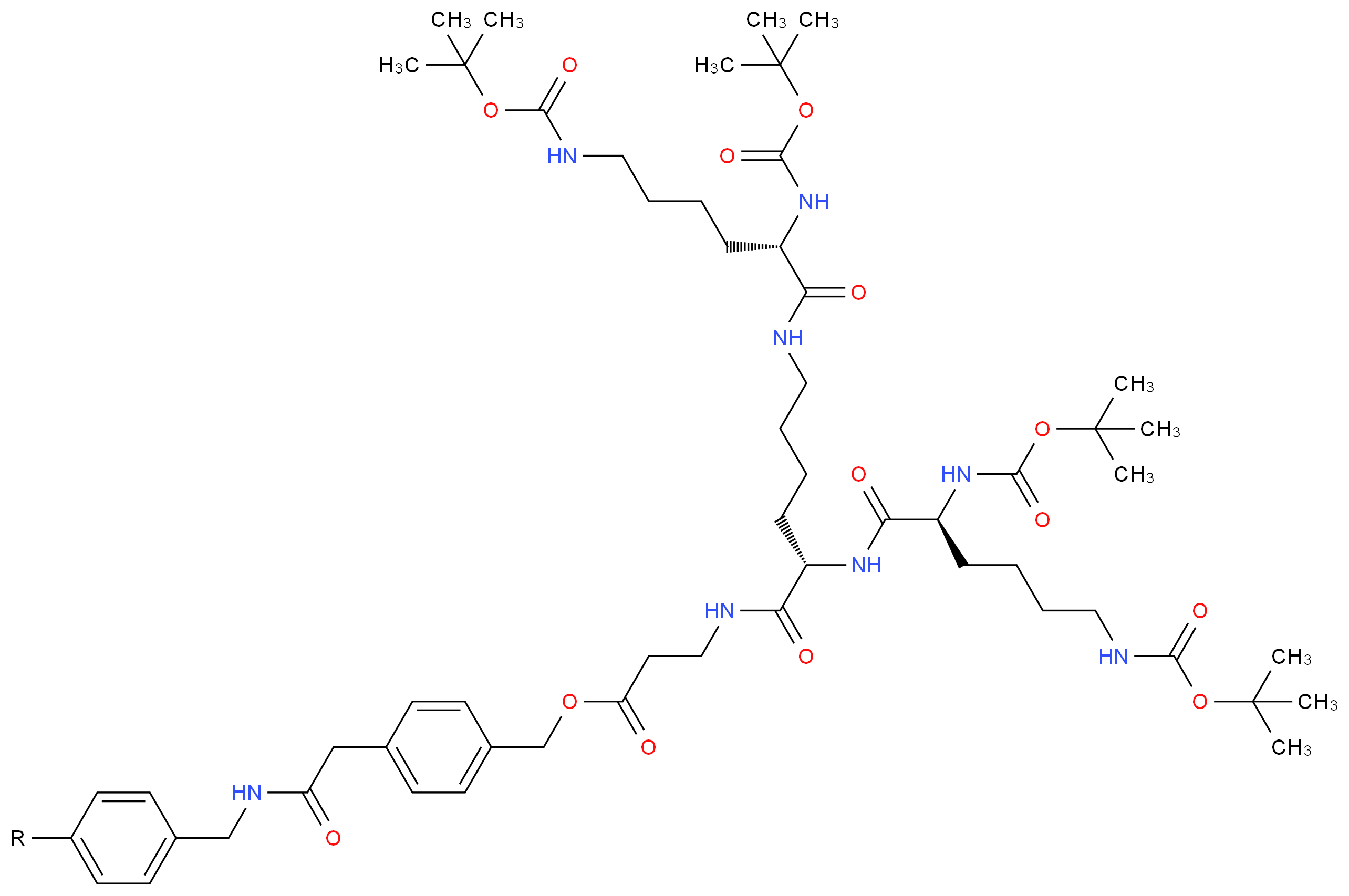 CAS_ 分子结构
