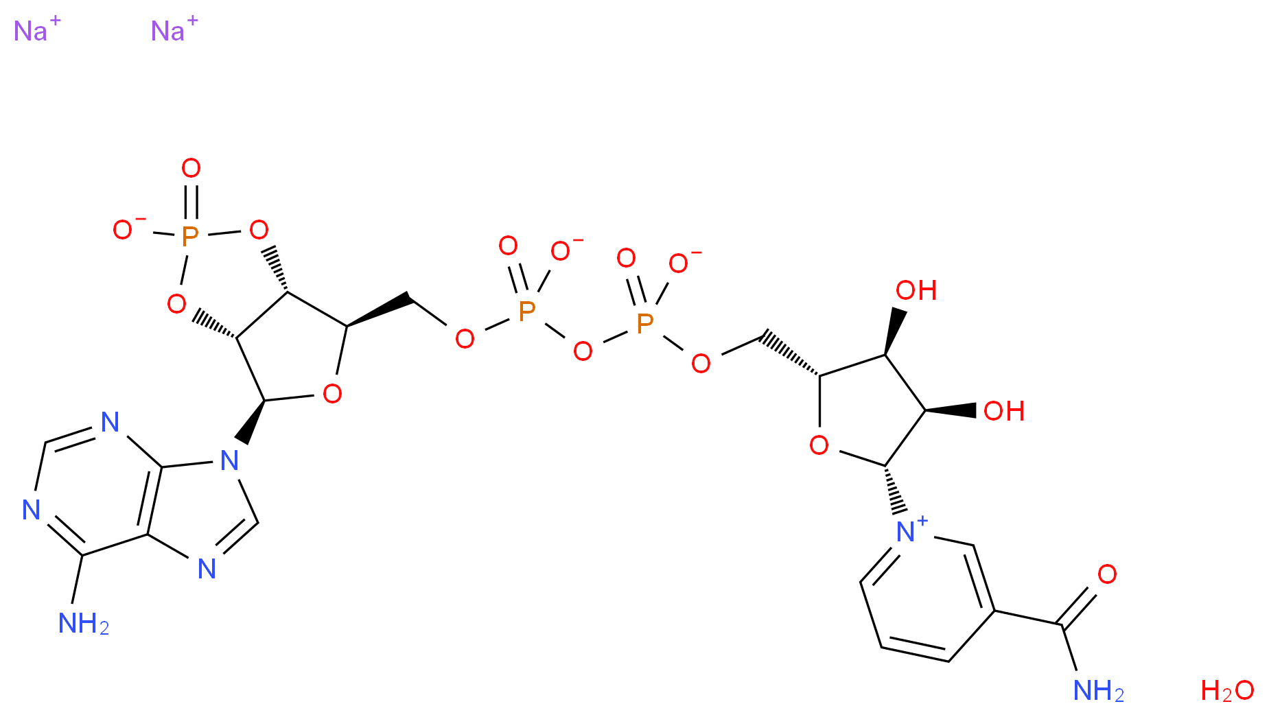 β-Nicotinamide adenine dinucleotide 2′:3′-cyclic monophosphate disodium salt hydrate_分子结构_CAS_100929-77-9(anhydrous))