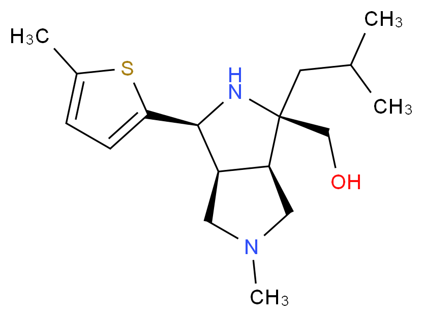  分子结构