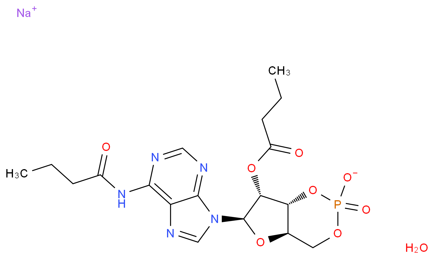N6,2′-O-二丁酰基腺苷3′,5′-环磷酸 钠盐 一水合物_分子结构_CAS_16980-89-5)