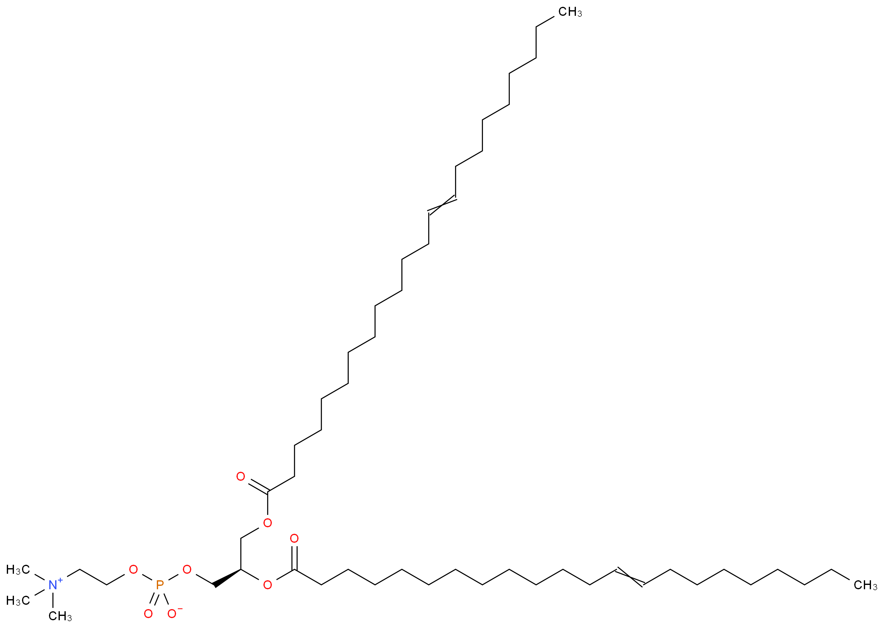 (2-{[(2R)-2,3-bis(docos-13-enoyloxy)propyl phosphonato]oxy}ethyl)trimethylazanium_分子结构_CAS_51779-95-4