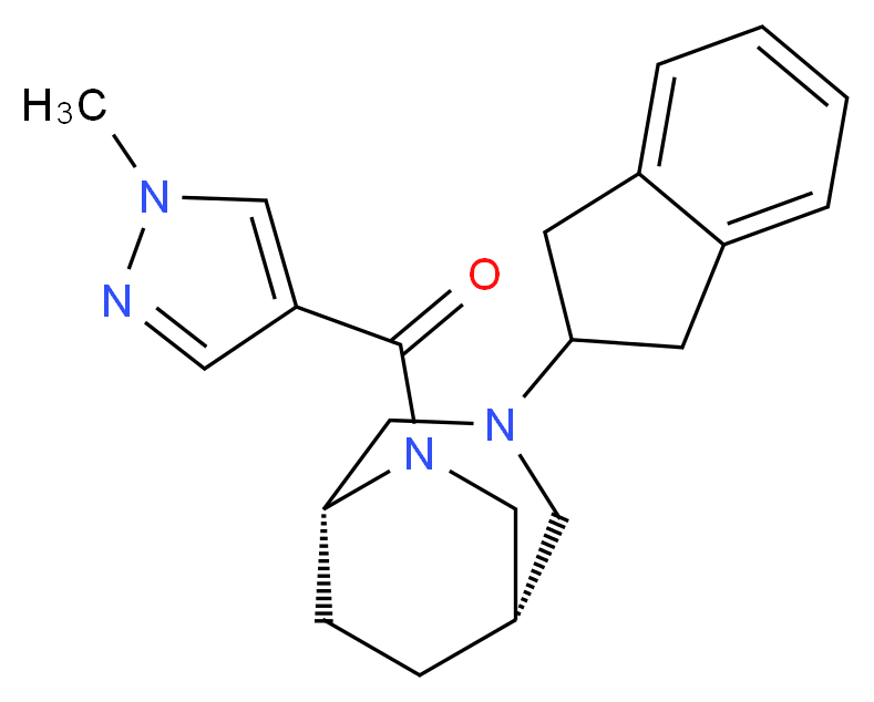  分子结构