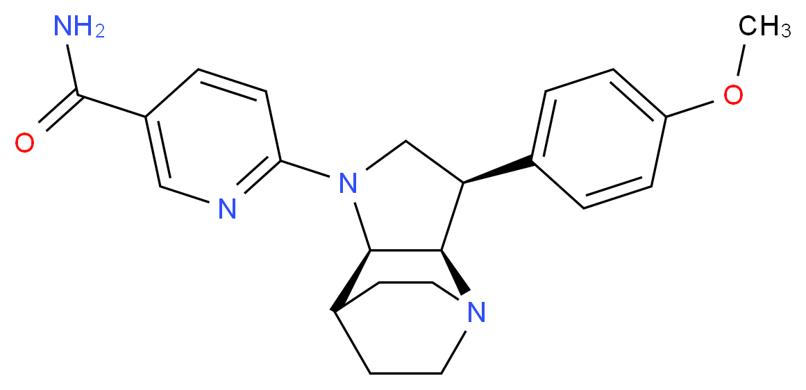  分子结构
