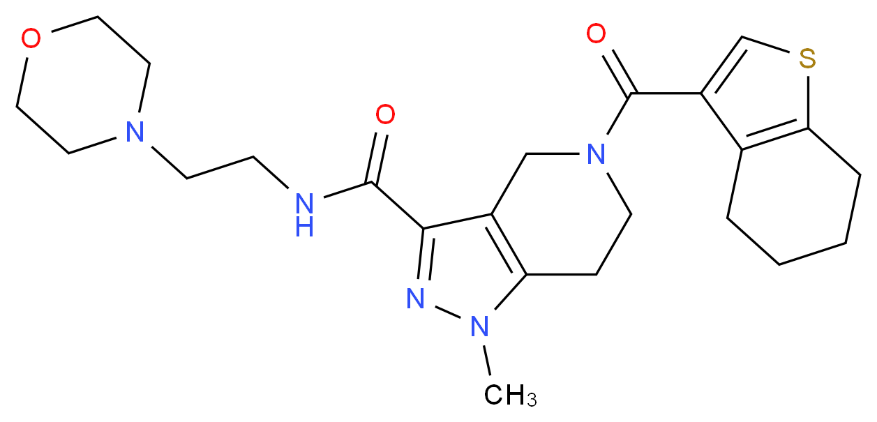  分子结构