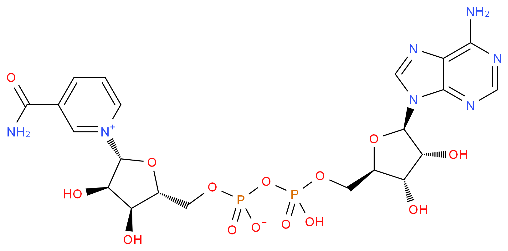 53-84-9 分子结构