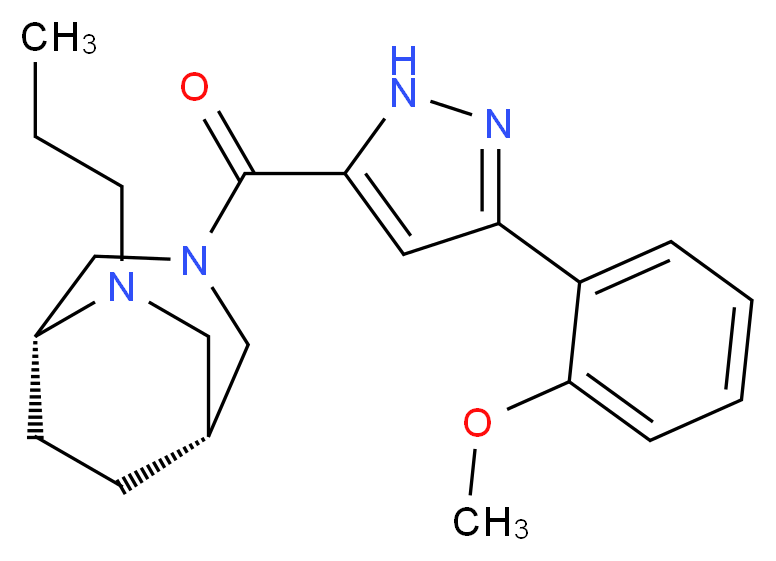  分子结构