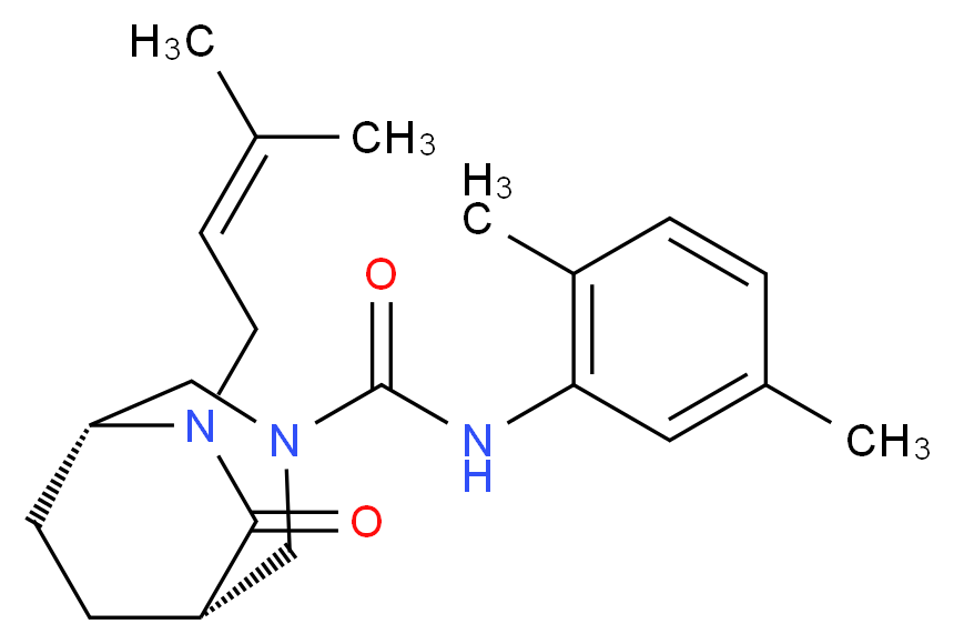  分子结构