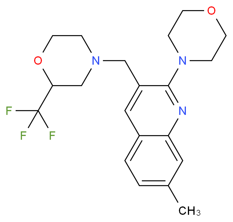  分子结构