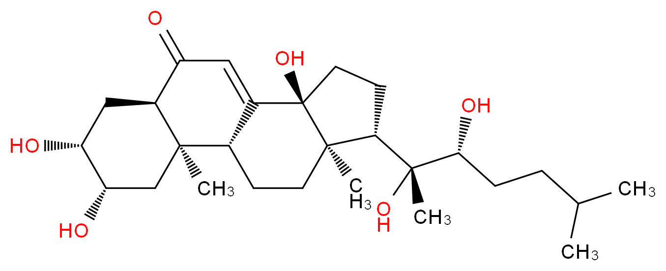 13408-56-5 分子结构