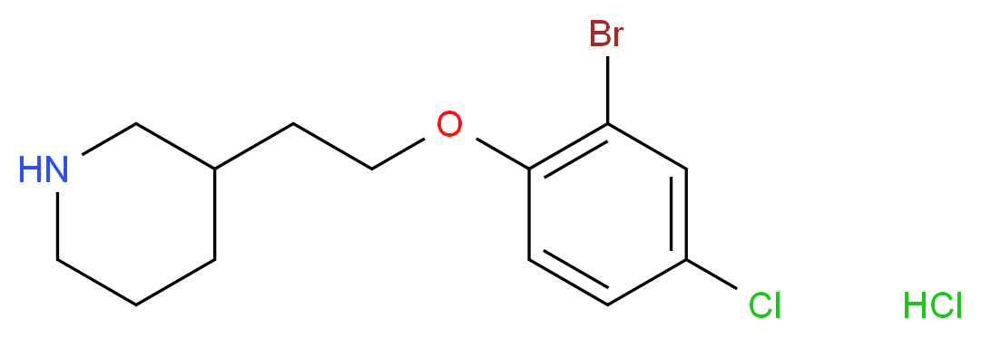 MFCD13560495 分子结构