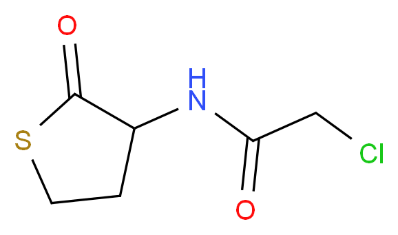 2-chloro-N-(2-oxothiolan-3-yl)acetamide_分子结构_CAS_84611-22-3