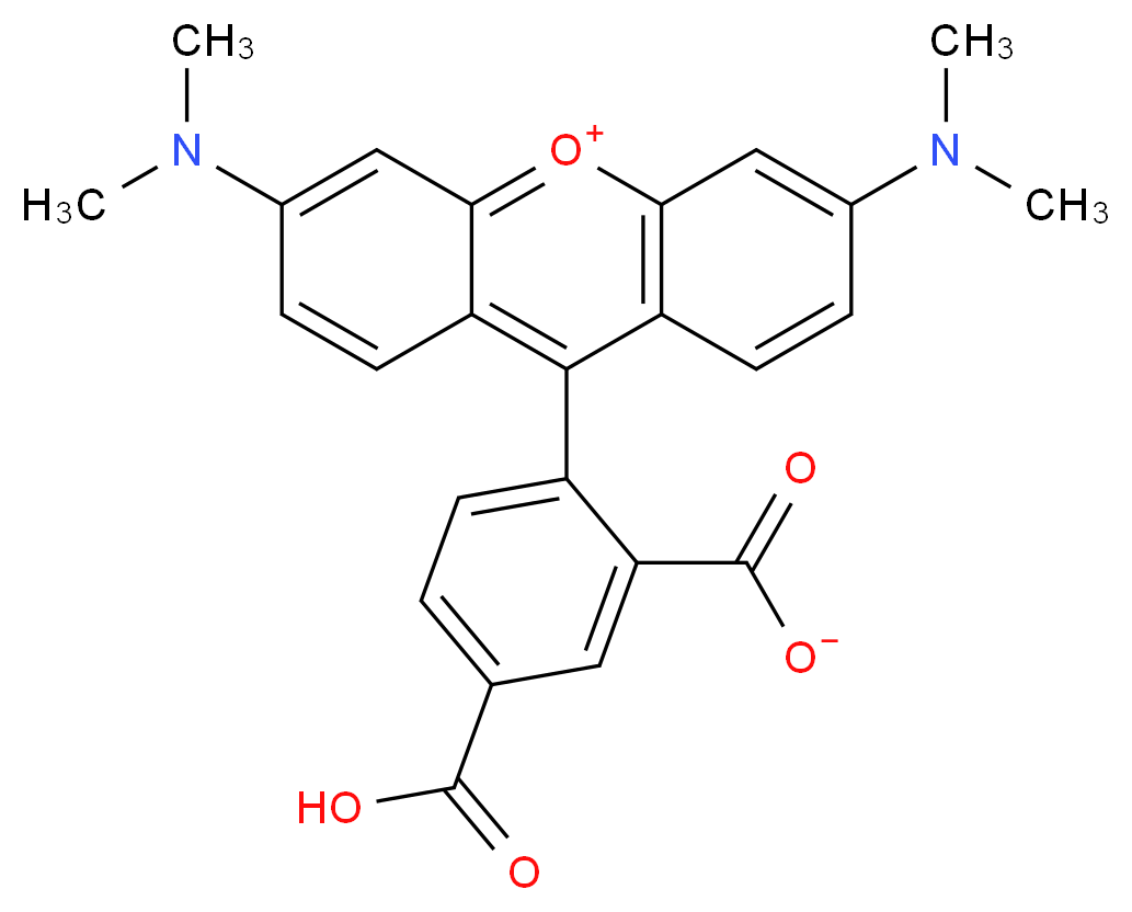 9-(4-carboxy-2-carboxylatophenyl)-3,6-bis(dimethylamino)-10λ<sup>4</sup>-xanthen-10-ylium_分子结构_CAS_91809-66-4