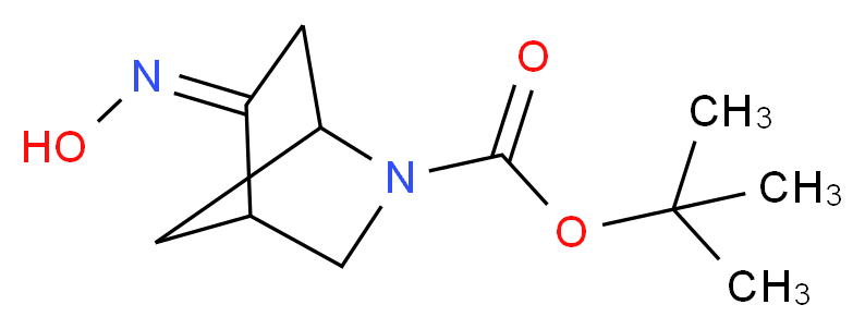 tert-butyl 5-(hydroxyimino)-2-azabicyclo[2.2.1]heptane-2-carboxylate_分子结构_CAS_)