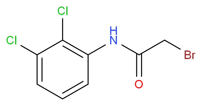 2-Bromo-N-(2,3-dichlorophenyl)acetamide_分子结构_CAS_)