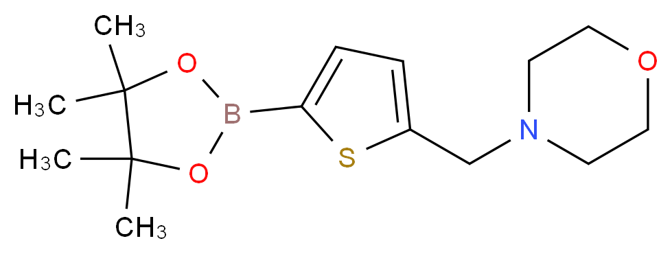 4-{[5-(tetramethyl-1,3,2-dioxaborolan-2-yl)thiophen-2-yl]methyl}morpholine_分子结构_CAS_950603-39-1