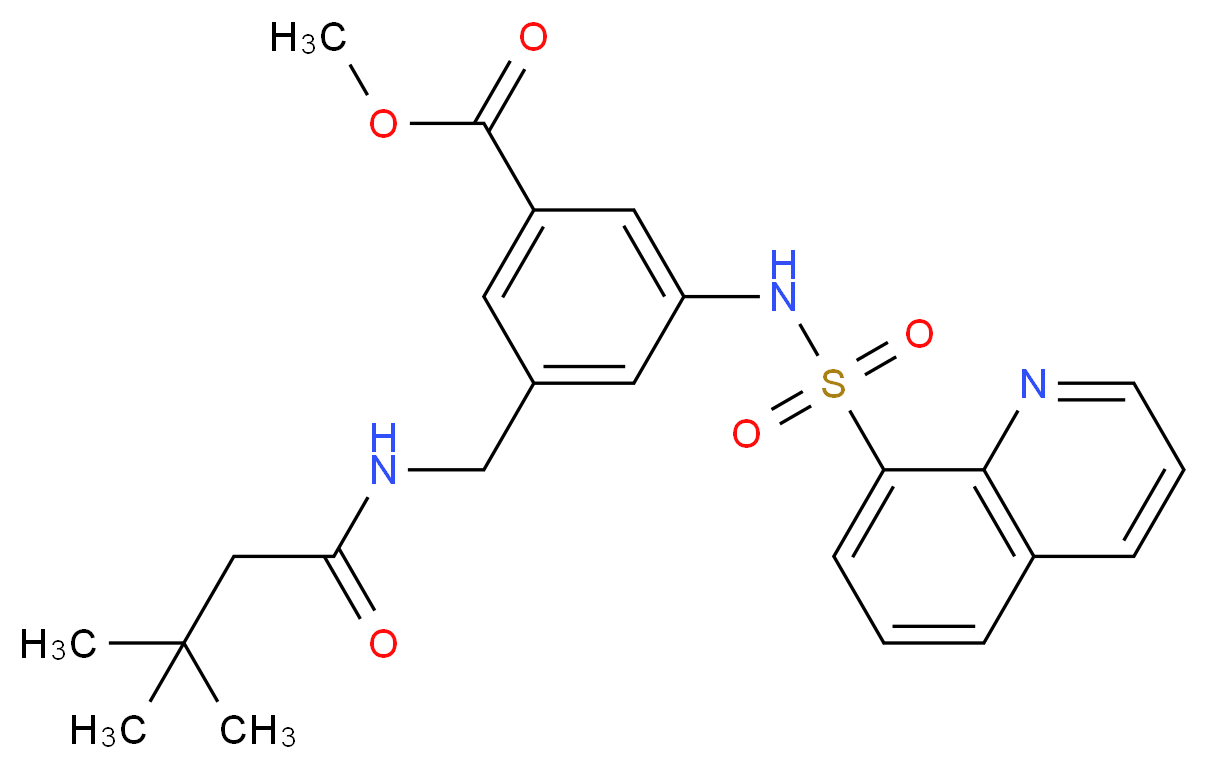 methyl 3-{[(3,3-dimethylbutanoyl)amino]methyl}-5-[(8-quinolinylsulfonyl)amino]benzoate_分子结构_CAS_)