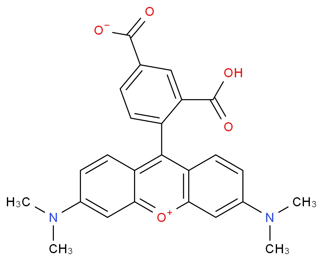 9-(2-carboxy-4-carboxylatophenyl)-3,6-bis(dimethylamino)-10λ<sup>4</sup>-xanthen-10-ylium_分子结构_CAS_91809-66-4