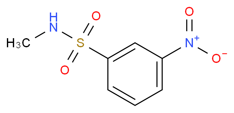 N-methyl-3-nitrobenzene-1-sulfonamide_分子结构_CAS_58955-78-5