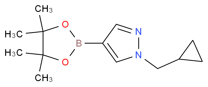 1-(cyclopropylmethyl)-4-(tetramethyl-1,3,2-dioxaborolan-2-yl)-1H-pyrazole_分子结构_CAS_1000801-75-1