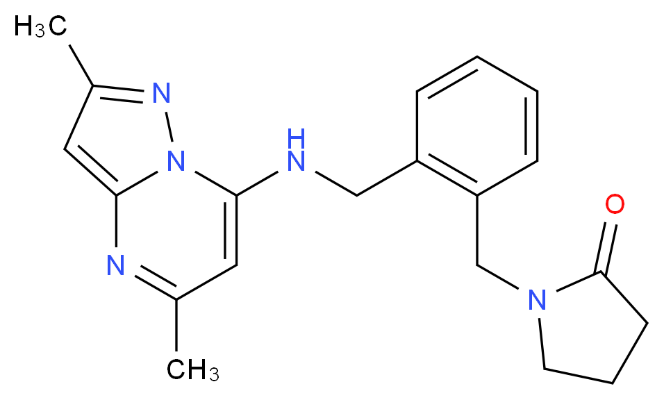 1-(2-{[(2,5-dimethylpyrazolo[1,5-a]pyrimidin-7-yl)amino]methyl}benzyl)-2-pyrrolidinone_分子结构_CAS_)