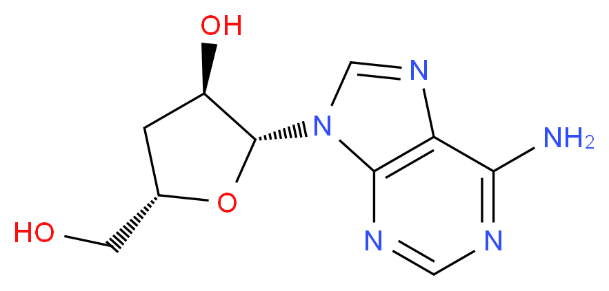 (2R,3R,5S)-2-(6-amino-9H-purin-9-yl)-5-(hydroxymethyl)oxolan-3-ol_分子结构_CAS_73-03-0