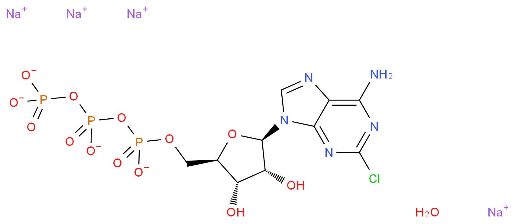 CAS_ 分子结构