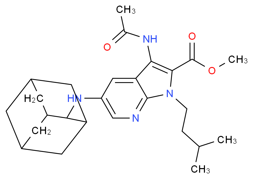  分子结构