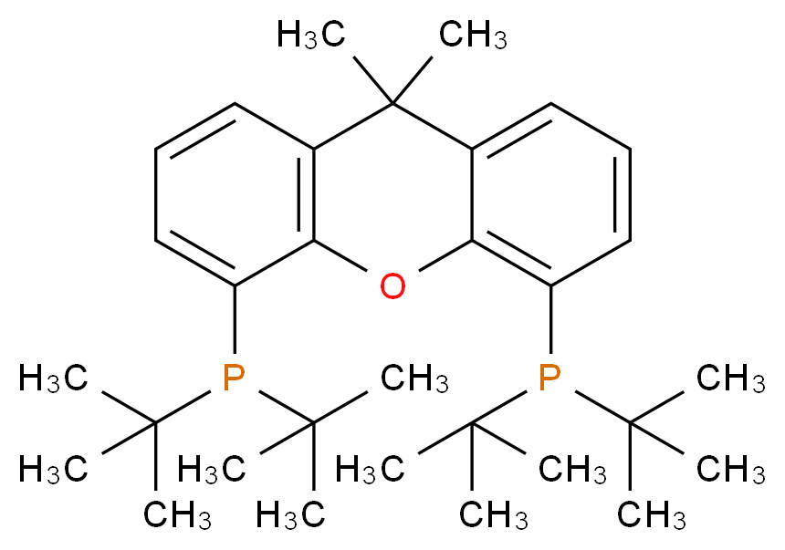 4,5-二(二叔丁基膦)-9,9-二甲基氧杂蒽_分子结构_CAS_856405-77-1)