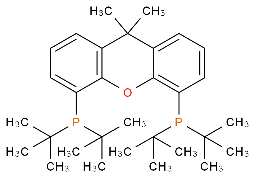 CAS_856405-77-1 分子结构