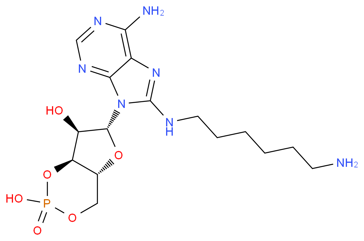 8-AHA-cAMP_分子结构_CAS_39824-30-1)