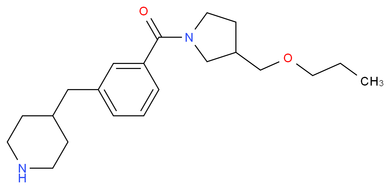 4-(3-{[3-(propoxymethyl)-1-pyrrolidinyl]carbonyl}benzyl)piperidine_分子结构_CAS_)