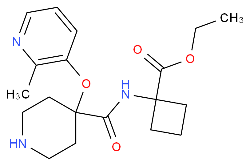 CAS_ 分子结构