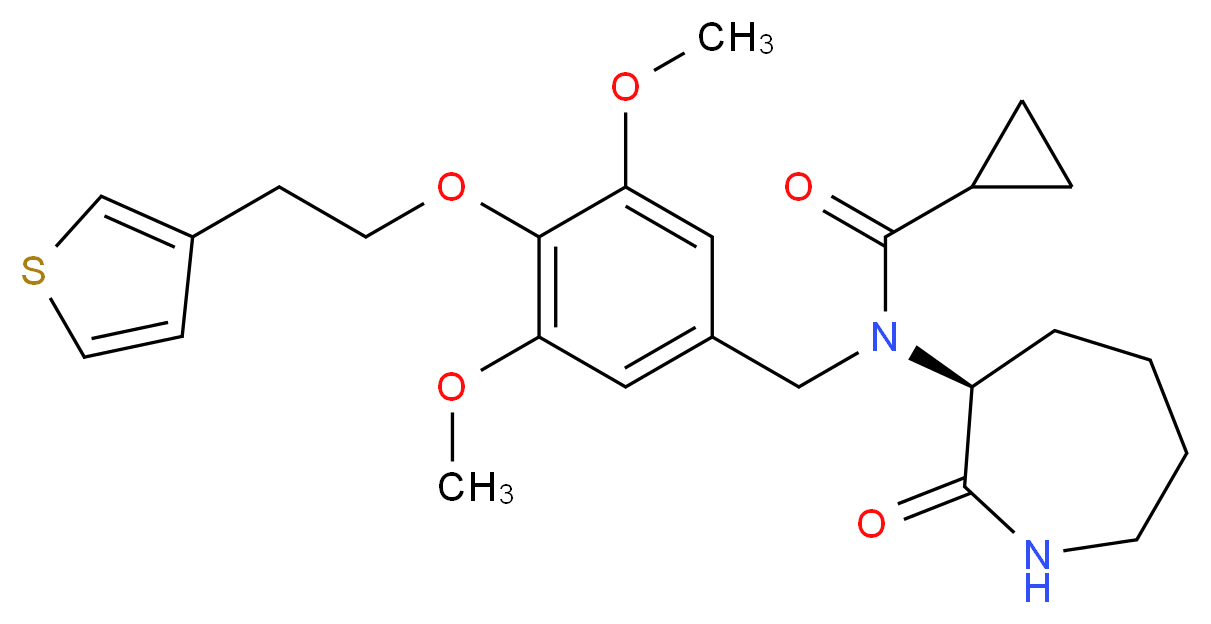  分子结构