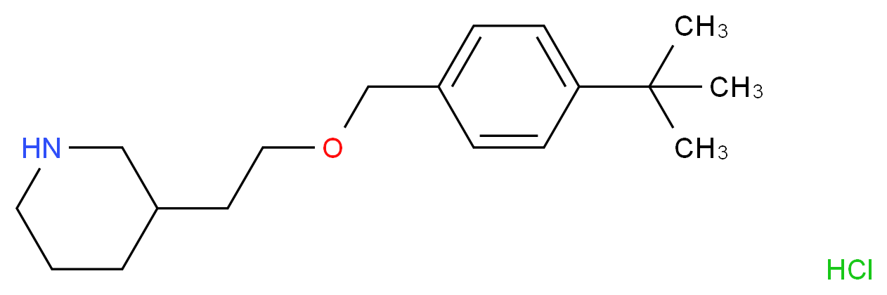 3-{2-[(4-tert-butylphenyl)methoxy]ethyl}piperidine hydrochloride_分子结构_CAS_1220017-92-4