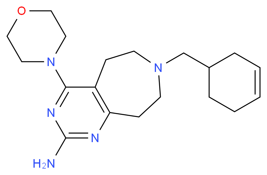  分子结构