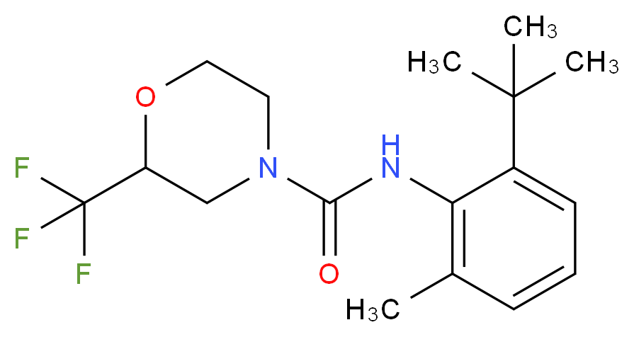  分子结构