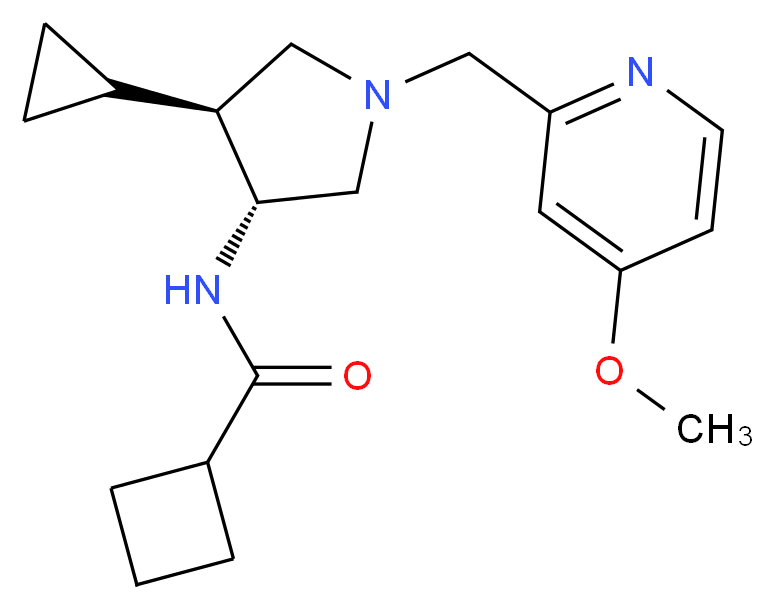 N-{(3R*,4S*)-4-cyclopropyl-1-[(4-methoxy-2-pyridinyl)methyl]-3-pyrrolidinyl}cyclobutanecarboxamide_分子结构_CAS_)