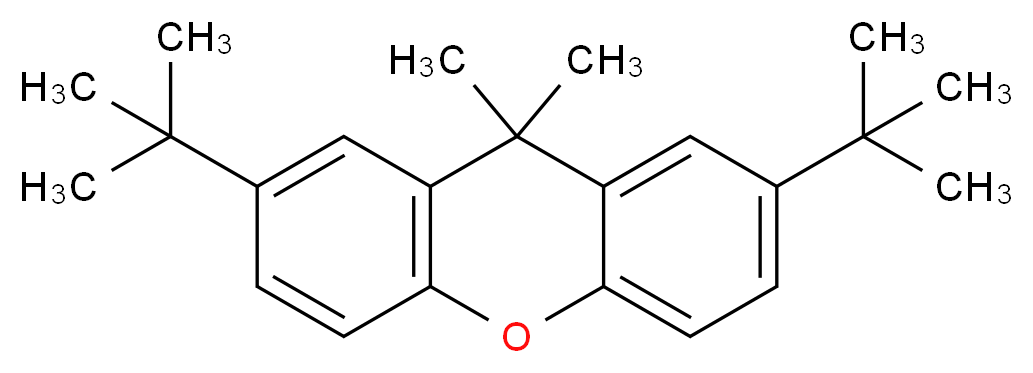 2,7-di-tert-butyl-9,9-dimethyl-9H-xanthene_分子结构_CAS_130525-41-6