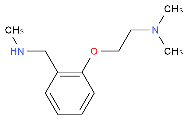 ({2-[2-(dimethylamino)ethoxy]phenyl}methyl)(methyl)amine_分子结构_CAS_884507-33-9