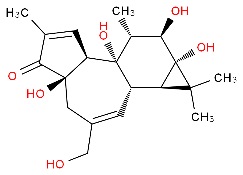 Phorbol_分子结构_CAS_17673-25-5)