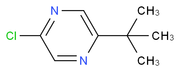 2-tert-butyl-5-chloropyrazine_分子结构_CAS_1196155-92-6)