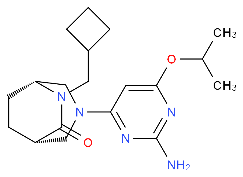 分子结构