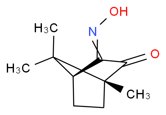 (1R,E)-(+)-樟脑醌-3-肟_分子结构_CAS_31571-14-9)