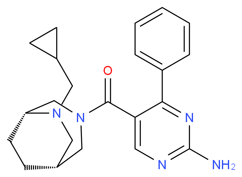 5-{[(1R*,5R*)-6-(cyclopropylmethyl)-3,6-diazabicyclo[3.2.2]non-3-yl]carbonyl}-4-phenylpyrimidin-2-amine_分子结构_CAS_)