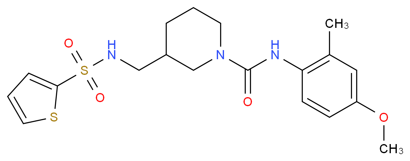 N-(4-methoxy-2-methylphenyl)-3-{[(2-thienylsulfonyl)amino]methyl}-1-piperidinecarboxamide_分子结构_CAS_)