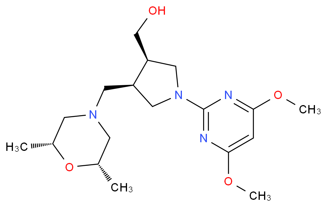  分子结构