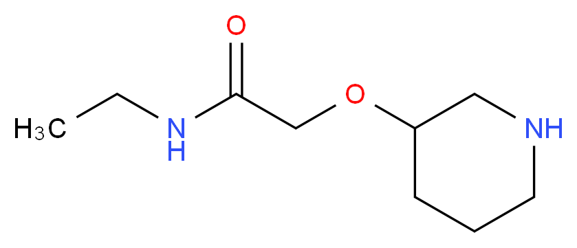 N-乙基-2-(3-哌啶氧基)乙酰胺_分子结构_CAS_902836-75-3)