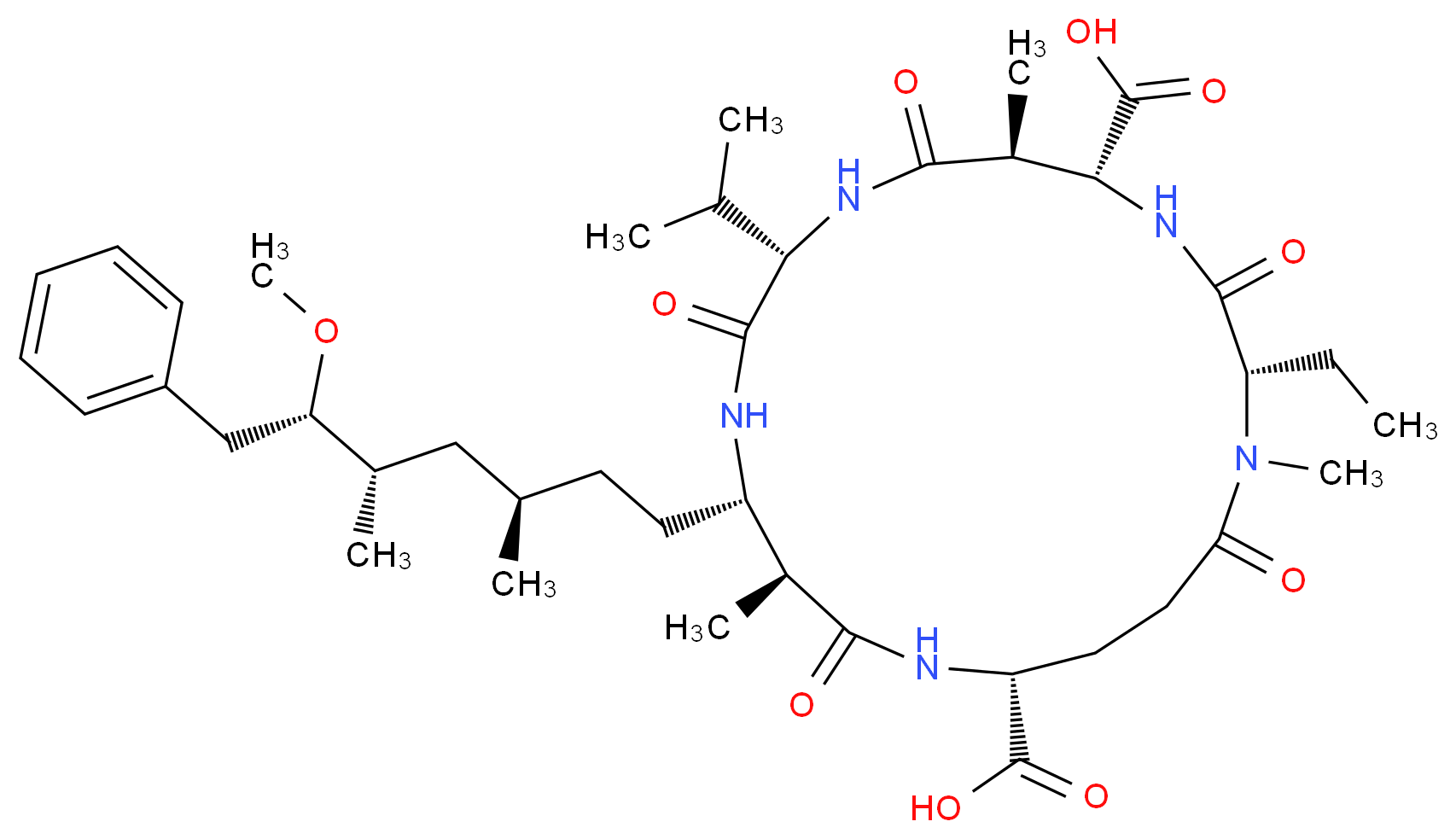 CAS_ 分子结构